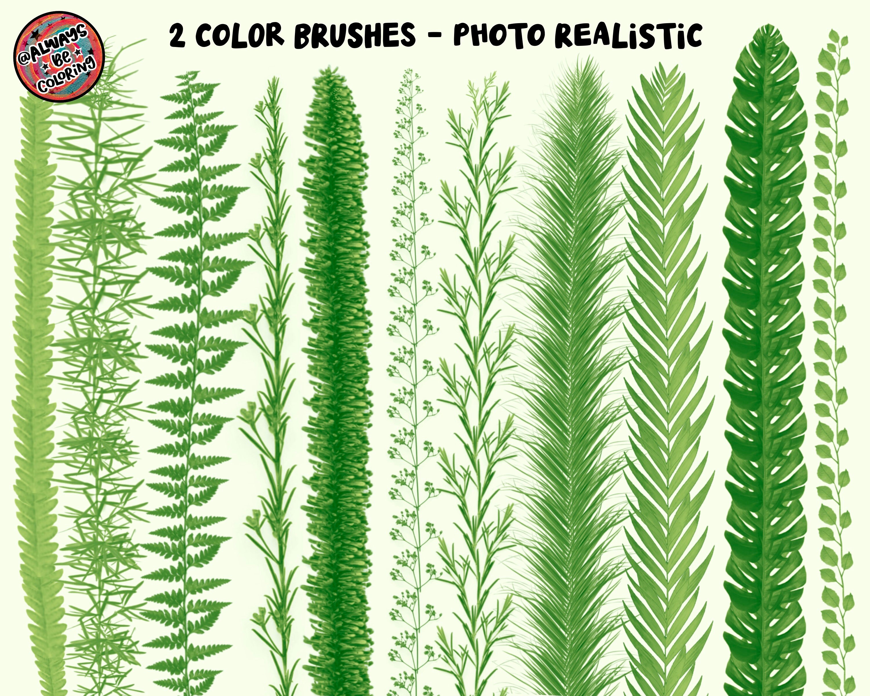 100 Procreate Leaves and Greenery Brushes! Realistic Foliage Brushes ...