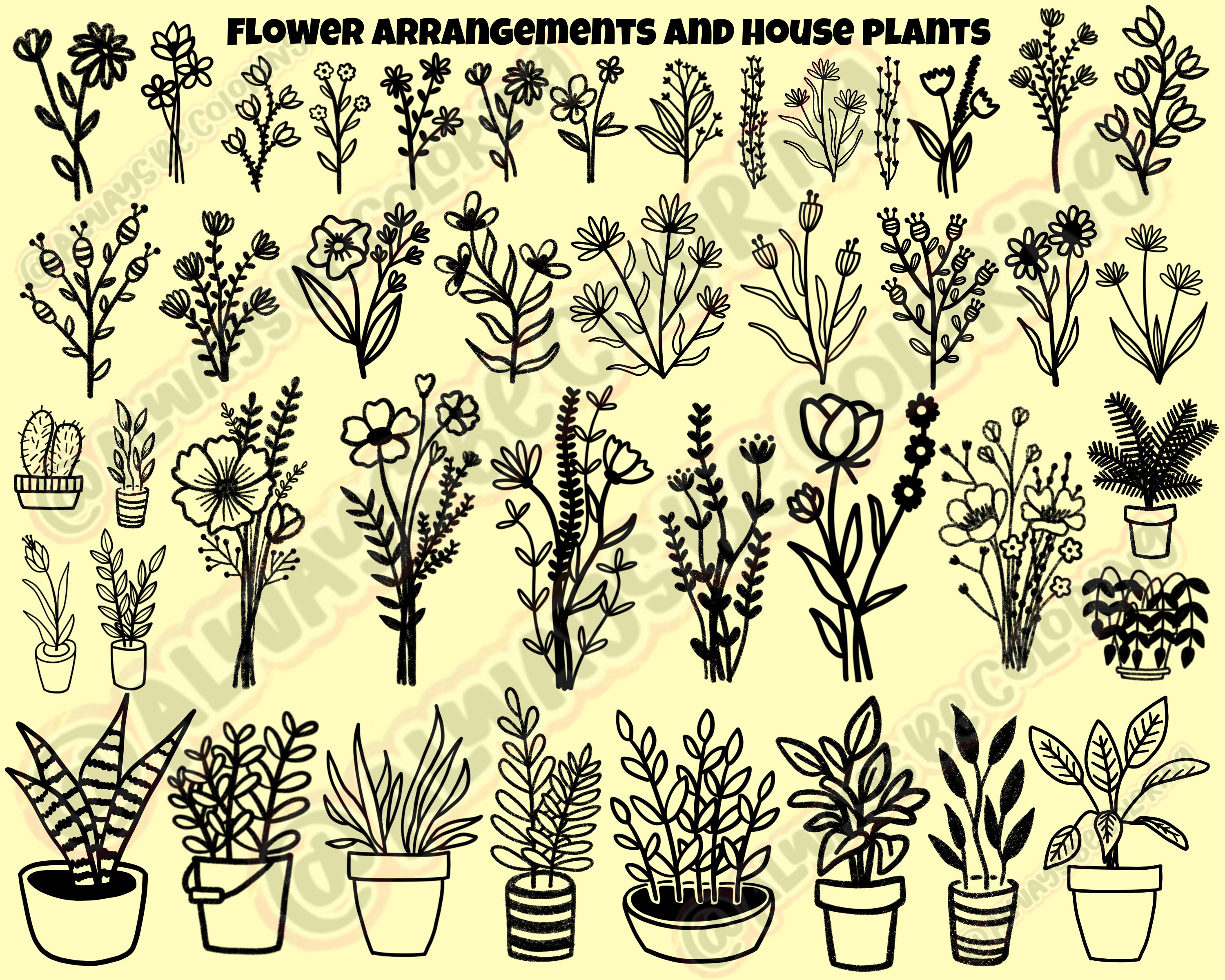 250 Hand Drawn Procreate Stamp Brushes With Flower and Plant Designs ...