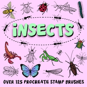 125+ insectenstempelborstels, handgetekende insectenborstels, zeer fijne tekeningen, tatoeagestempels, bijen, vlinders, kevers, dierenstempelset