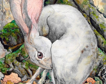 May include: A white rabbit with large pink ears sits in a forest setting. The rabbit is surrounded by fallen leaves and is nestled against a tree trunk. The background is a watercolor painting of a forest scene.