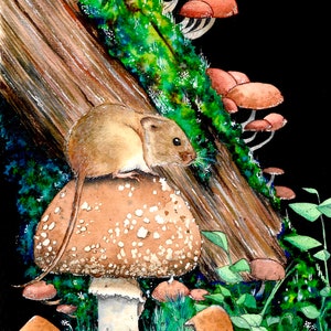 Op de afbeelding: Aquarel schilderij van een muis die op een grote paddenstoel met witte vlekken zit. Bruine en bruingele paddenstoelen groeien op een met mos begroeide boomstam. Groen gras en bladeren omringen de paddenstoelen, tegen een zwarte achtergrond.
