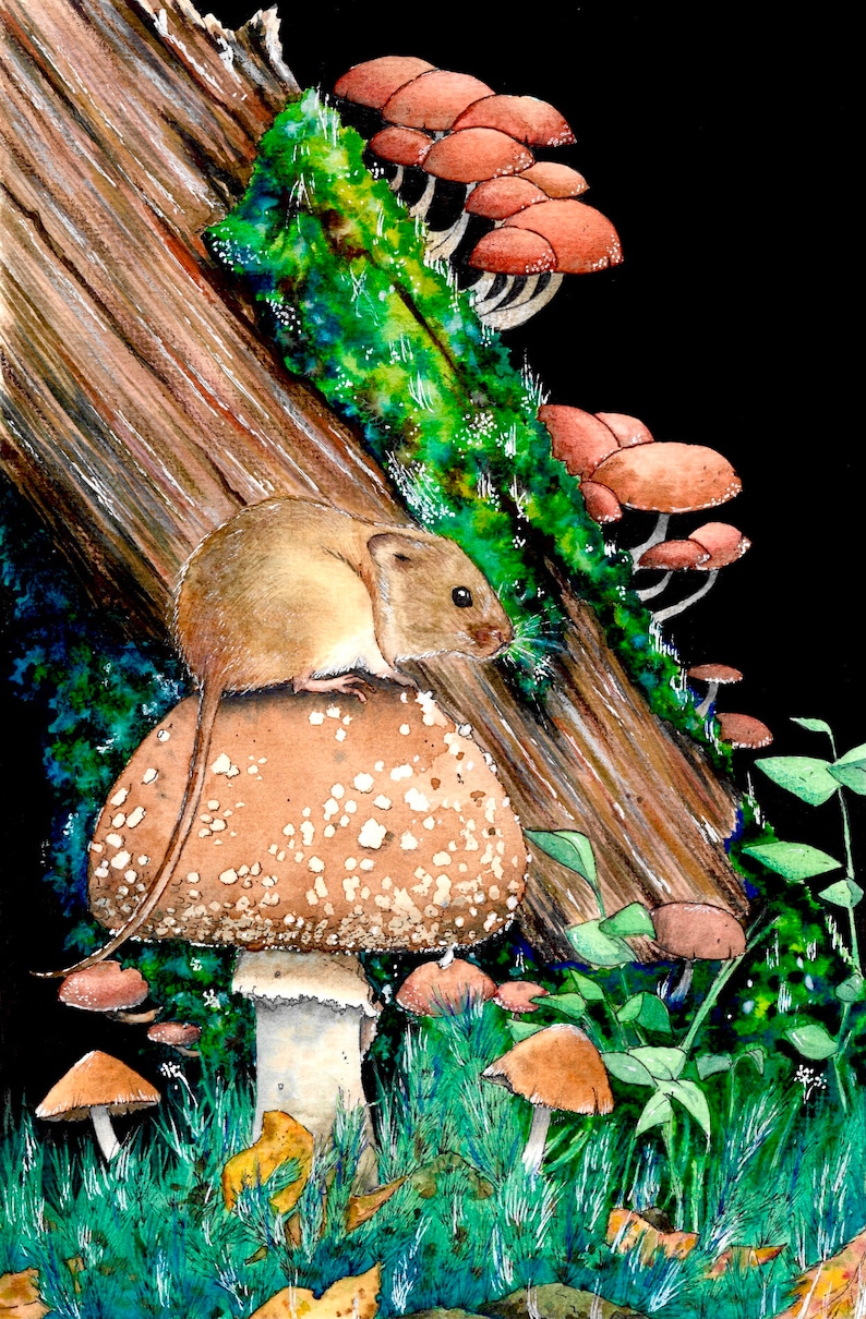 May include: Watercolour painting of a mouse on a large, spotted mushroom. Brown and tan mushrooms grow on a mossy log. Green grass and leaves surround the mushrooms, set against a black background.
