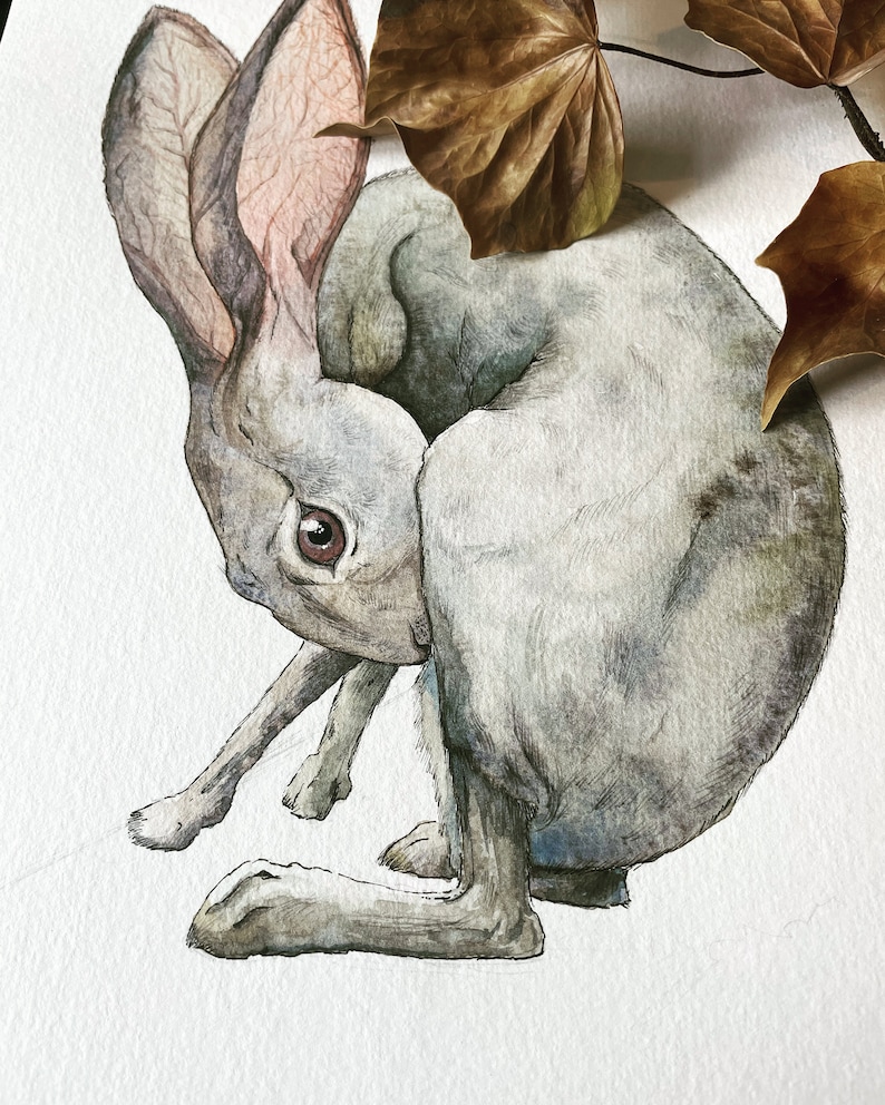 May include: A watercolor painting of a gray rabbit with long ears, sitting on a white background. The rabbit's fur is detailed with shades of gray and brown, and its eyes are a deep brown. The rabbit's ears are folded back, and its body is curled up in a relaxed position.