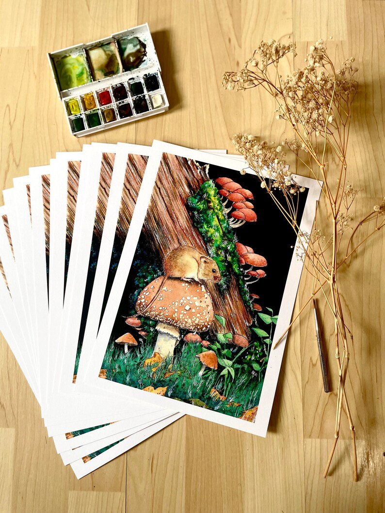 May include: A collection of art prints showcasing a detailed watercolour illustration of a mouse on a mushroom, with other fungi and foliage. A watercolour paint set and dried flowers are on a wooden surface.