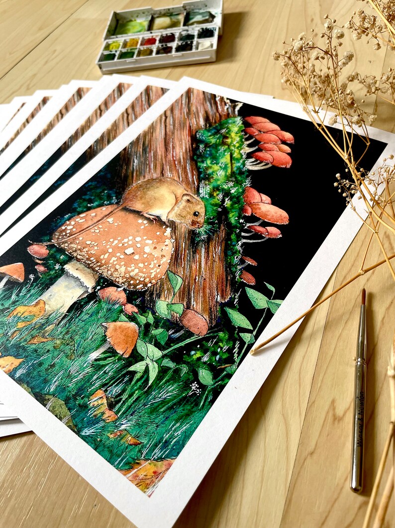 May include: A collection of watercolour art prints depicting a mouse on a mushroom, set in a forest with a tree trunk and other fungi. The artwork is detailed and realistic, with a palette of vibrant colours.