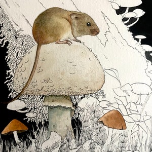 May include: Watercolour illustration of a small brown mouse perched on a large mushroom. The mushroom is white with a textured cap and a grey stem. The background features other mushrooms, grass, and a black sky.