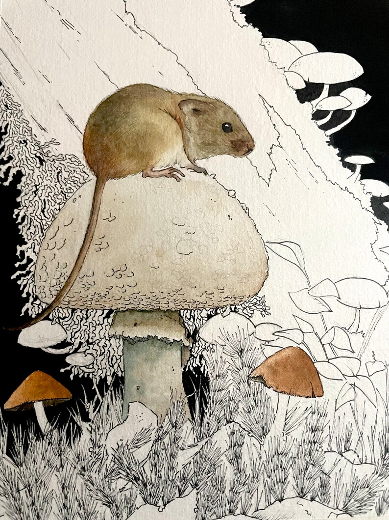 May include: Watercolour illustration of a small brown mouse perched on a large mushroom. The mushroom is white with a textured cap and a grey stem. The background features other mushrooms, grass, and a black sky.