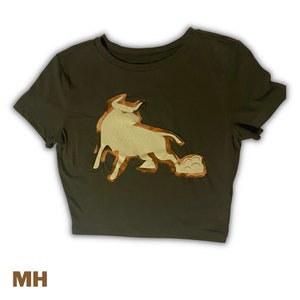 Reworked and Repurposed Bulls Crop Top
