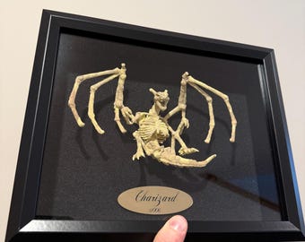 Charizard Skeleton Taxidermy Shadowbox 8x11