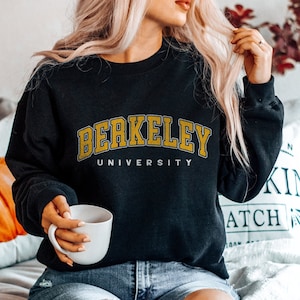 Berkeley mathematics sale hoodie