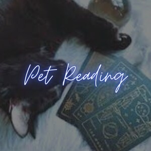 Haustier-Tarot-Lesung | Nachrichten von Ihrem Haustier | Lesende Katze | Lesender Hund | Begleiter | Was Ihr Haustier möchte, dass Sie wissen | Energie-Analytik