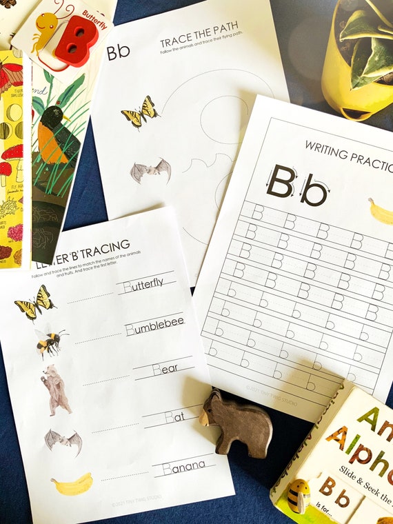 Letter B early learning resources bird poster alphabet B