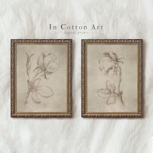 Vintage botanical prints set of 2, Antique flower sketch, Botanical neutral sketch, Rose sketch print, Rose drawing set of 2, Sketch art