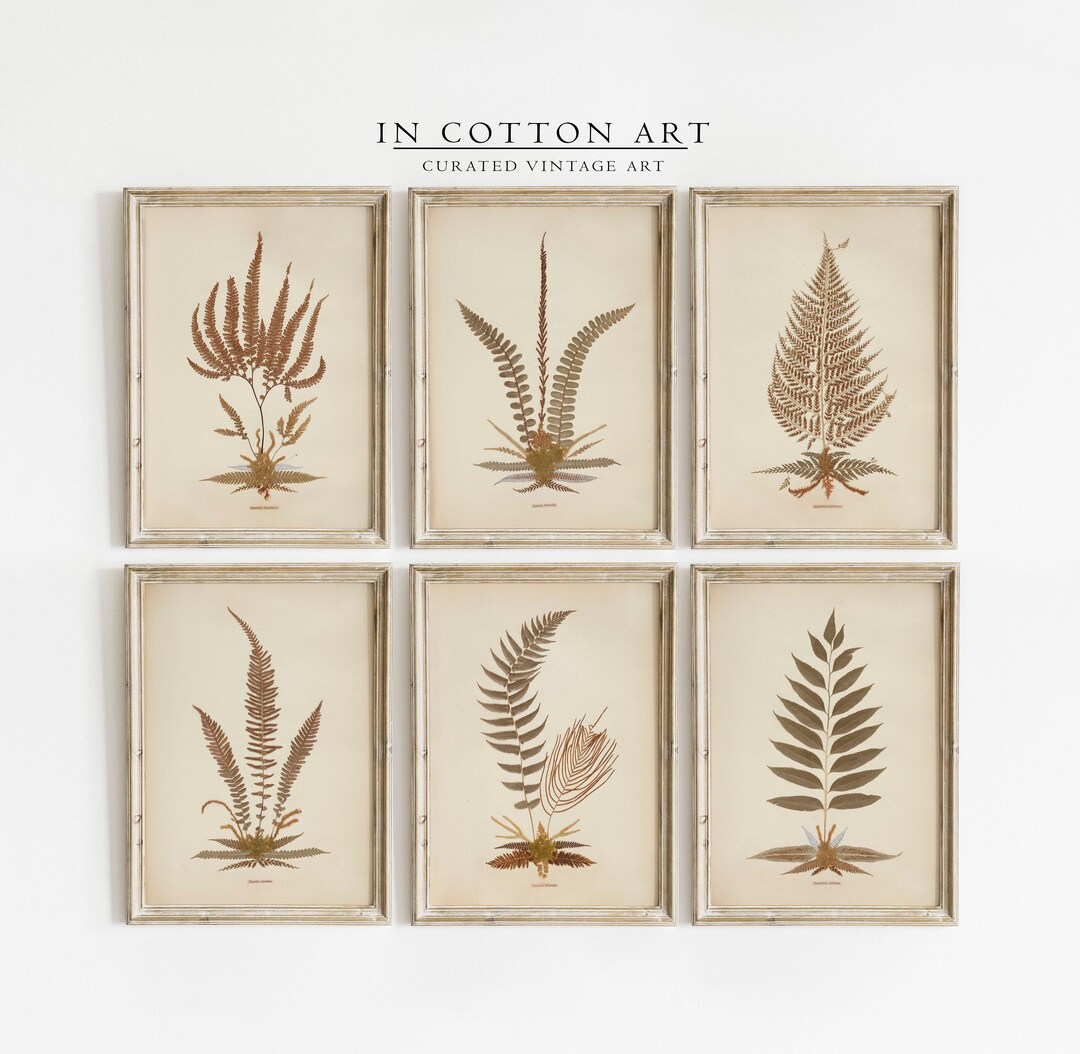 Set of 6 Vintage Botanical Wall Art Prints / PRINTABLE Floral Cottage ...
