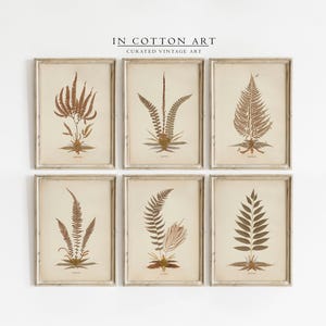 Set of 6 Vintage Botanical Wall Art Prints / PRINTABLE Floral Cottage Wall Decor / Farmhouse Neutral Gallery Wall SET | P171