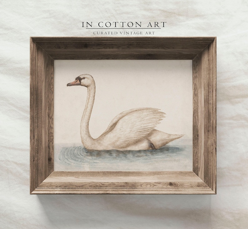 Delicate Swan Painting / Vintage Nursery Art Print / French Country Room Decor / Digital PRINTABLE InCottonArt | P181 image 4