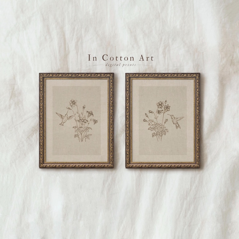 Puede incluir: Dos grabados bot&aacute;nicos enmarcados. Cada grabado presenta un colibr&iacute; y una ilustraci&oacute;n floral en tonos sepia. Los marcos son ornamentados con un acabado dorado. El texto "In Cotton Art digital prints" est&aacute; encima de los marcos.