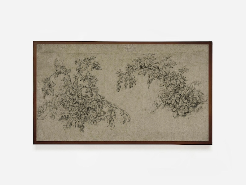 Arte para televisores Samsung Frame / Boceto digital de arte botánico vintage / Arte neutro para TV / Boceto digital para televisores LG / Dibujo de morera / TV13 imagen 3