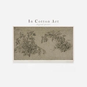 The image is a framed print of a botanical illustration depicting various plants and flowers.