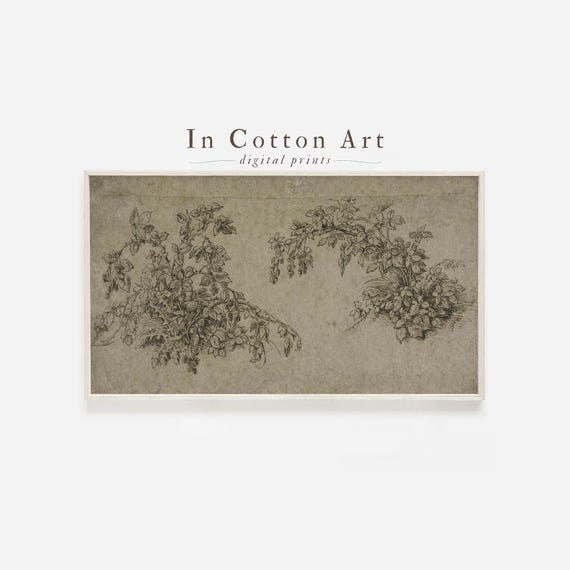Samsung Frame TV Art / Vintage Botanical Art DIGITAL Sketch / Neutral Art for Tv / Digital Sketch LG tv Art / Mulberry Drawing | TV13