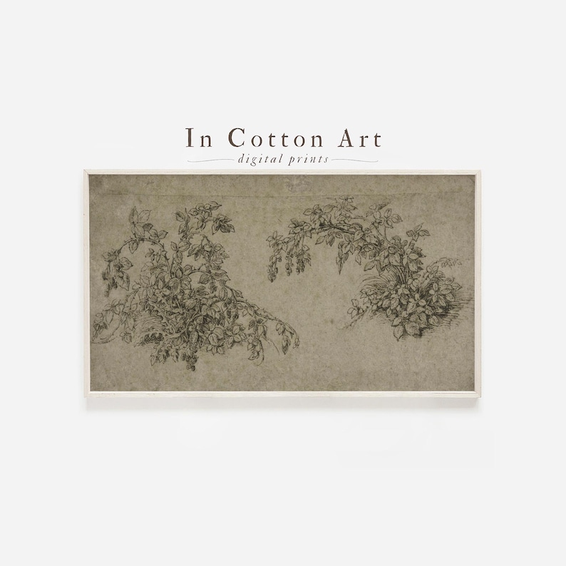 The image is a framed print of a botanical illustration depicting various plants and flowers.