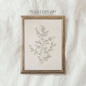 Olive Branch Drawing / Botanical Etching Print / Vintage Sketch Art Neutral PRINTABLE | D35