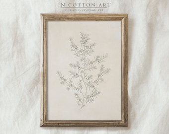 Olive Branch Drawing / Botanical Etching Print / Vintage Sketch Art Neutral PRINTABLE | D35