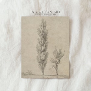 Vintage Beige Tree Drawing Digital Download / Antique Neutral Sketch ...