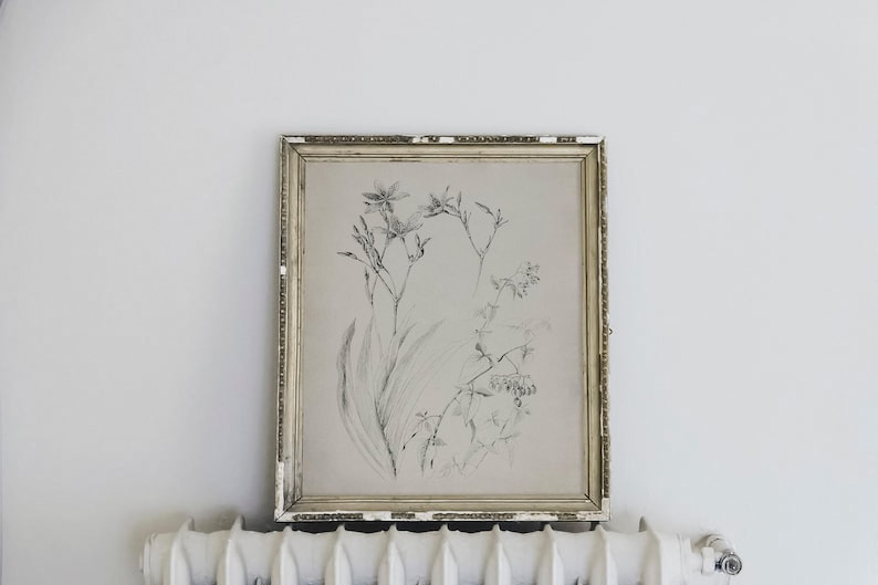 Botanical minimalist sketch print, Wildflower sketch, Vintage farm sketch, Botanical farmhouse sketch, Sketch plant minimalist, Dainty print image 7