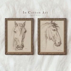 Vintage Equestrian Sketch Art PRINTABLE / Country Horse Drawing Art SET of Two / Neutral Farmhouse Art Print Wall Decor Downloadable | D75