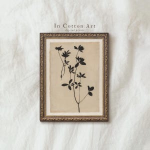 Floral Silhouette Wall Art, Vintage Farmhouse Botanical Print, Elegant Flower Illustration, Minimalist Aesthetic Decor In Cotton Art | P290