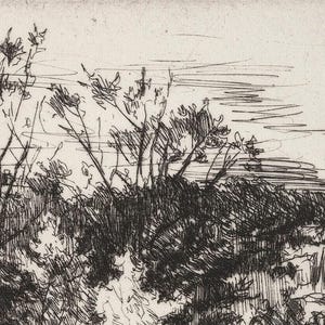 Antique Neutral Landscape Sketch PRINTABLE / Vintage Rustic Farmhouse Etching / Nature Scenery Wall Art Digital Download InCottonArt | D28 image 8