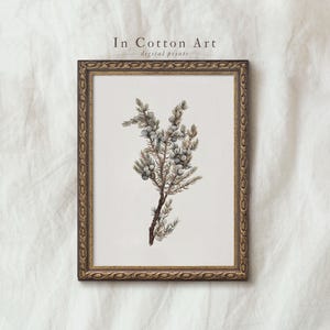 Winter Berry Art Print / Farmhouse Christmas Botanical Painting / Downloadable Digital PRINTABLE | P57