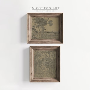 Vintage Botanical Drawing SET / Farmhouse Moody Art Print / Rustic Etching PRINTABLE