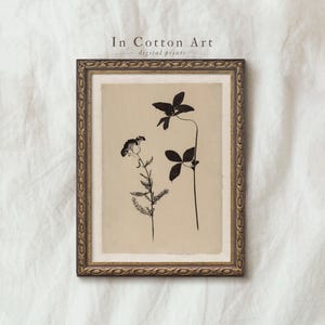 Póster botánico de herbario antiguo, ilustración de flores silvestres antiguas, descarga digital de impresión de flores minimalistas, arte de cocina de granja / P290