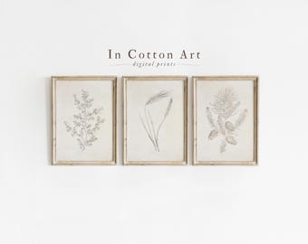 Vintage Botanical Gallery Wall Print SET / Antique Neutral Drawings PRINTABLE / Rustic Wall Decor | S2