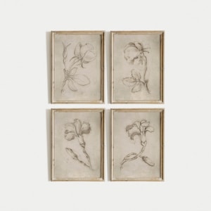 Conjunto de dibujo botánico rústico para decoración campestre / Conjunto de dibujo de flores vintage / Conjunto de galería de pared con bocetos florales neutros / D9