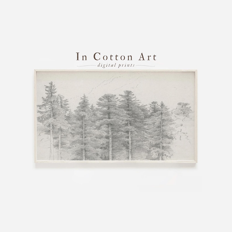 A black and white image of a forest with tall trees, framed and displayed against a plain background.