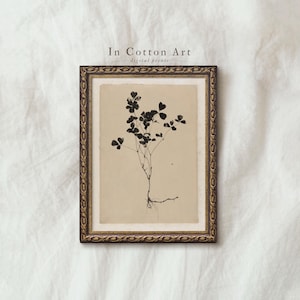 May include: A framed botanical print showing a black plant silhouette with heart-shaped leaves and roots. The print has a beige background and is in a decorative gold-toned frame. The text "In Cotton Art digital prints" is at the top of the image.