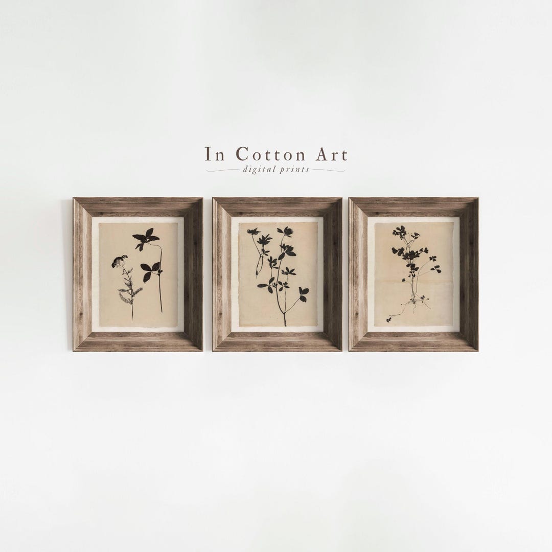 Neutral Botanical Prints SET of 3, Minimalist Eclectic Floral Wall Art ...
