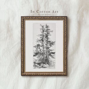 Botanical Sketch Art Printable / Vintage Rustic Drawing / Pine Tree Sketch Print | D2
