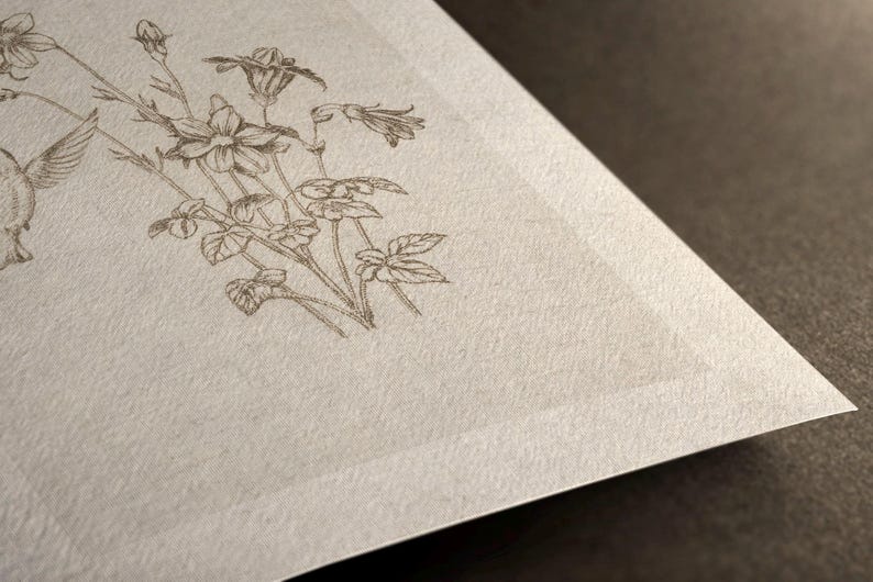 Puede incluir: Ilustraci&oacute;n detallada de un colibr&iacute; y elementos florales, incluyendo flores y hojas, impresa en tinta marr&oacute;n sobre un papel texturizado blanquecino. La esquina del papel es visible sobre un fondo oscuro.