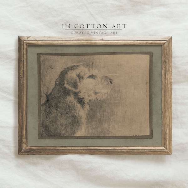 Vintage Dog Drawing PRINTABLE / Antique Puppy Sketch Art Print / Animal Etching Digital Download | D58