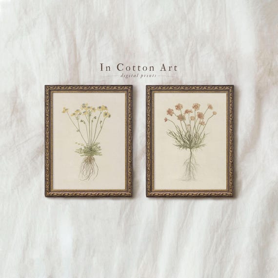 Muted Tone Botanical Wall Art Set of 2 / Red and Yellow Flowers / Vintage Floral Prints / Minimalist Flower Drawings PRINTABLE | P206