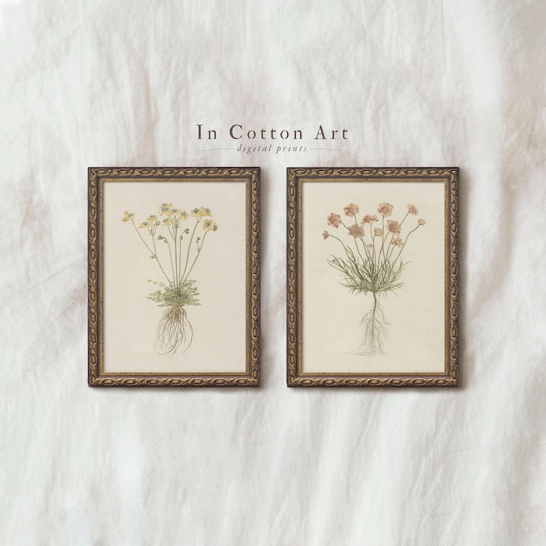 two framed botanical illustrations of flowers, each with a different color and style, displayed on a white background.