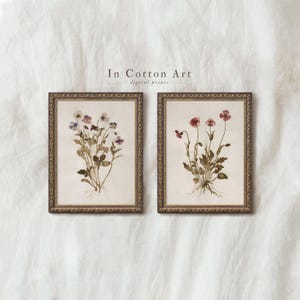 Può includere: Due stampe botaniche incorniciate con fiori pressati. Una stampa presenta fiori viola e blu, l'altra rossi. Le cornici sono ornate con finitura dorata. Il testo "In Cotton Art digital prints" è visibile.