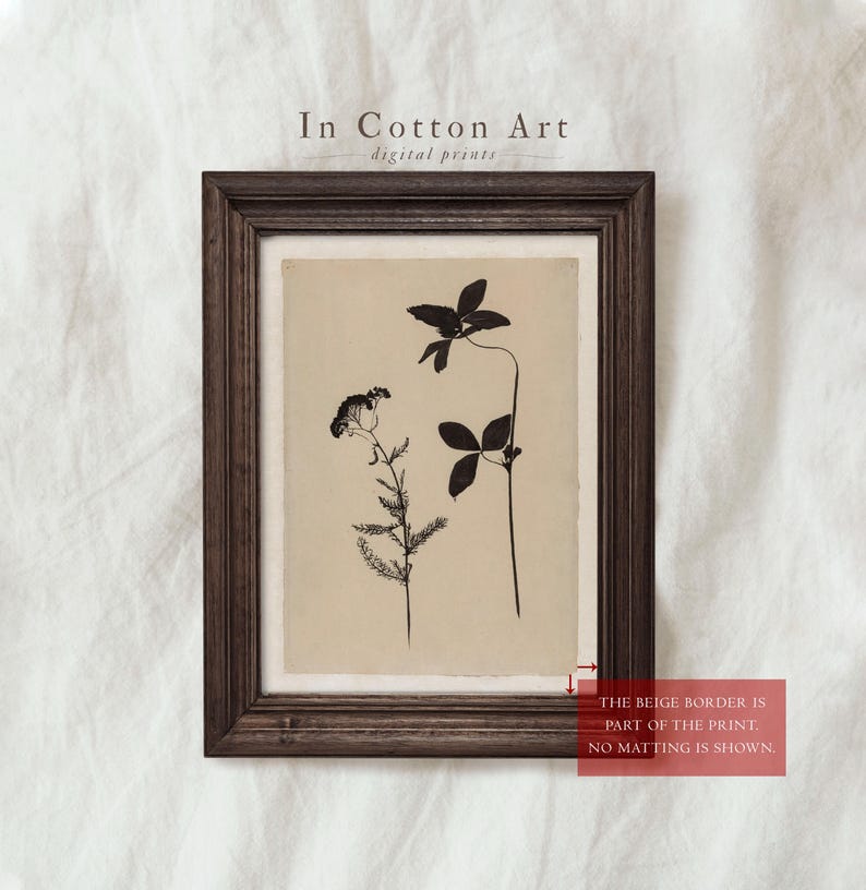 Neutral Botanical Prints SET of 3, Minimalist Eclectic Floral Wall Art ...