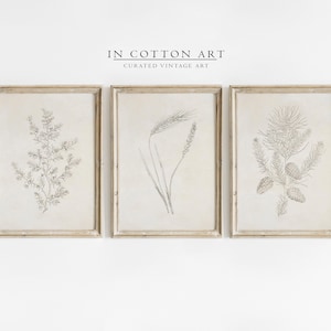 Vintage Botanical Gallery Wall Print SET / Antique Neutral Drawings PRINTABLE / Rustic Wall Decor | S2
