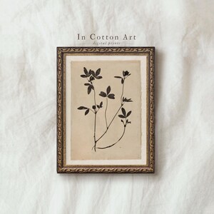 May include: A framed botanical print with a black and white floral illustration. The artwork is set against a cream background and framed in a decorative gold-toned frame. The text "In Cotton Art digital prints" is at the top.