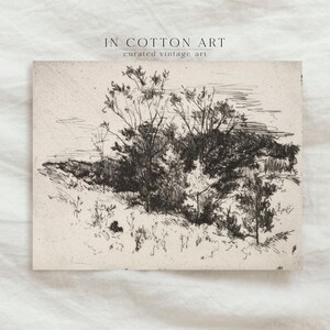 Antique Neutral Landscape Sketch PRINTABLE / Vintage Rustic Farmhouse Etching / Nature Scenery Wall Art Digital Download InCottonArt | D28 image 5